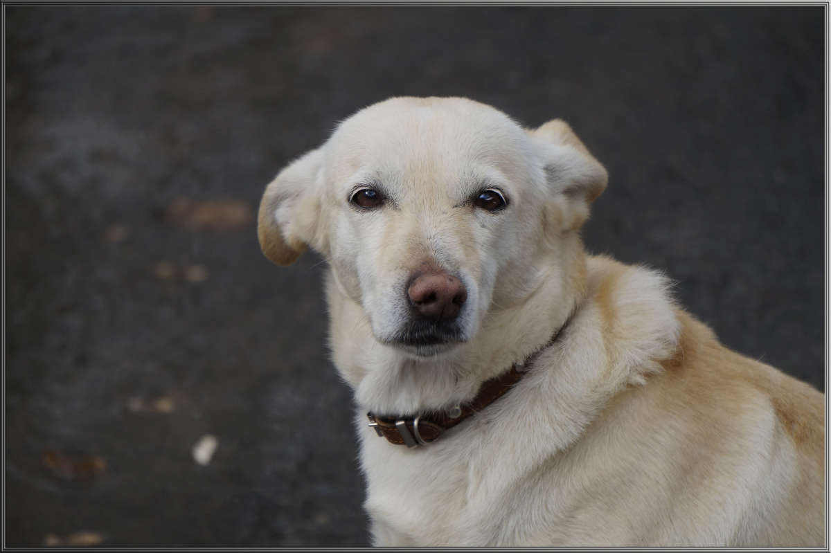 "�����������" ����� ������ ������ �� PhotoGeek.ru #�������� ���