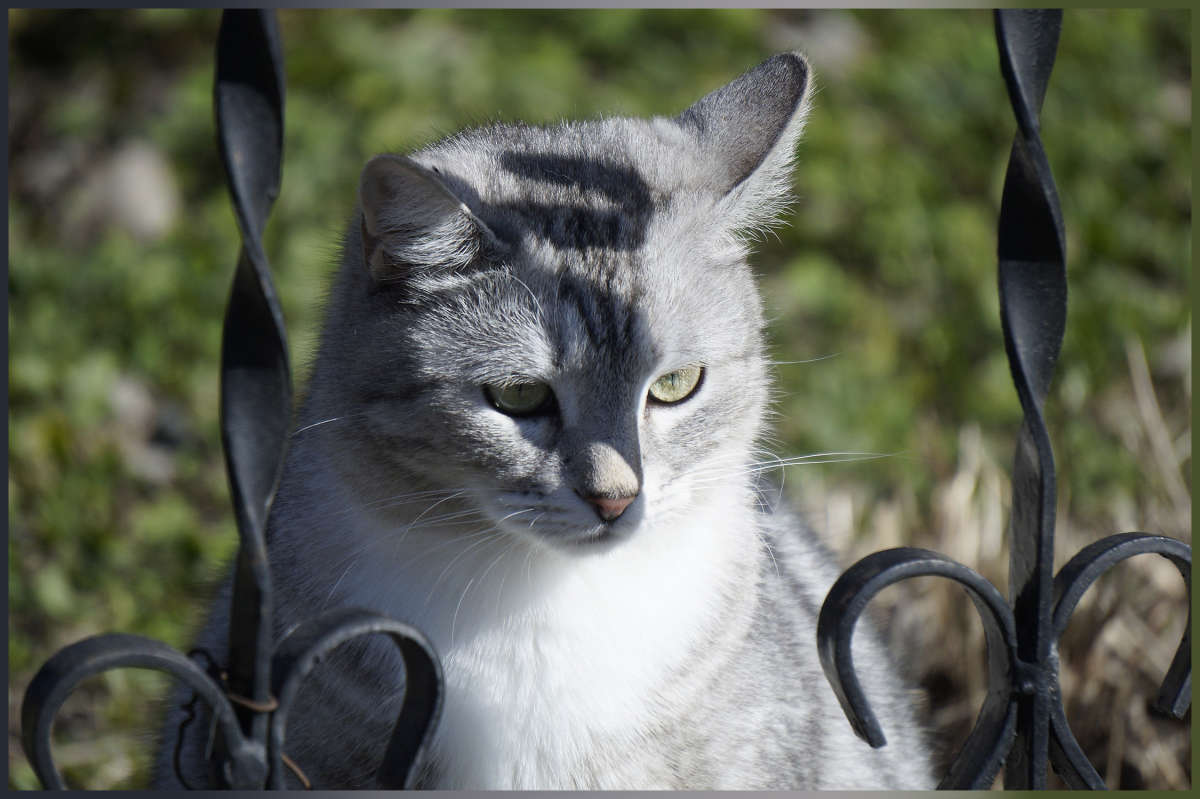 "�� ��������� �����" ����� ������ ������ �� PhotoGeek.ru #�������� ���