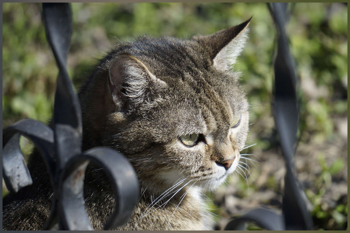 "�� ��������� ����� 2" ����� ������ ������ �� PhotoGeek.ru #�������� ���