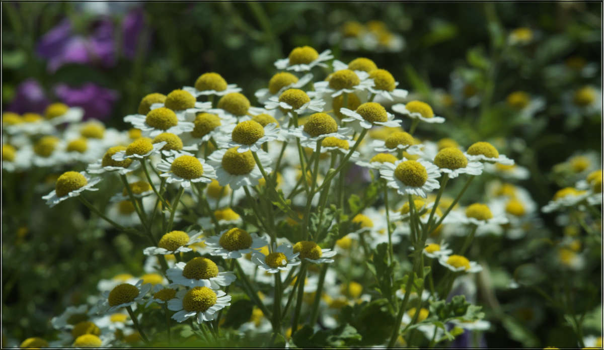 "������ ���������� 6" ����� ������ ������ �� PhotoGeek.ru #������ ��� �������