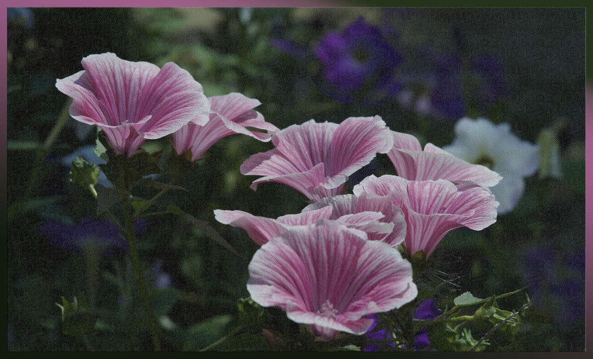 "������ ���������� 7" ����� ������ ������ �� PhotoGeek.ru #������ ��� �������