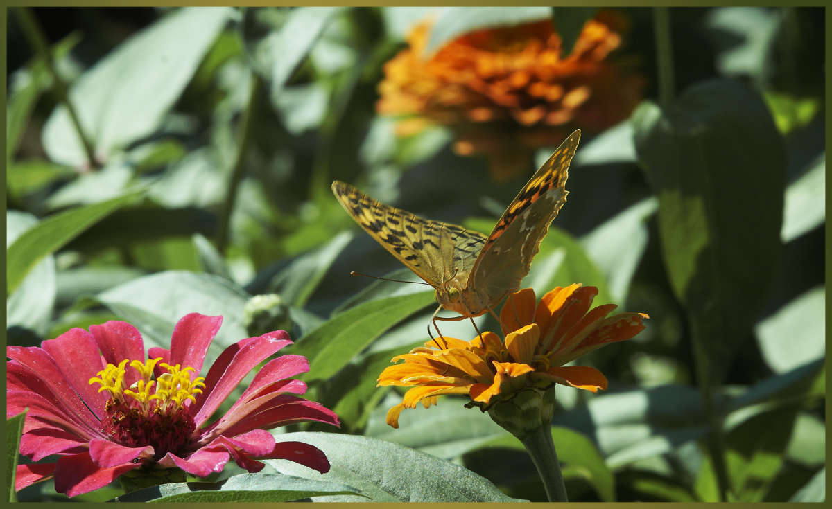 "������ ���������� 8" ����� ������ ������ �� PhotoGeek.ru #������ ��� �������