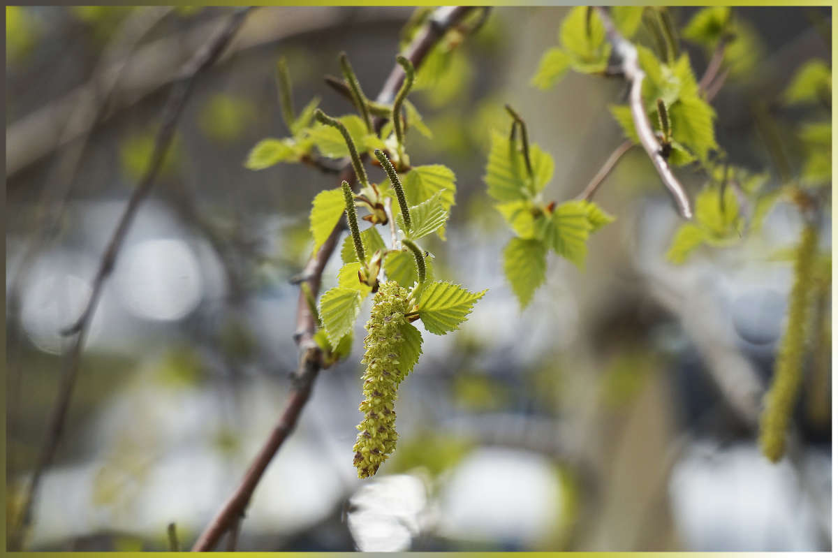 "� �������� ������" ����� ������ ������ �� PhotoGeek.ru #������ ��� �������