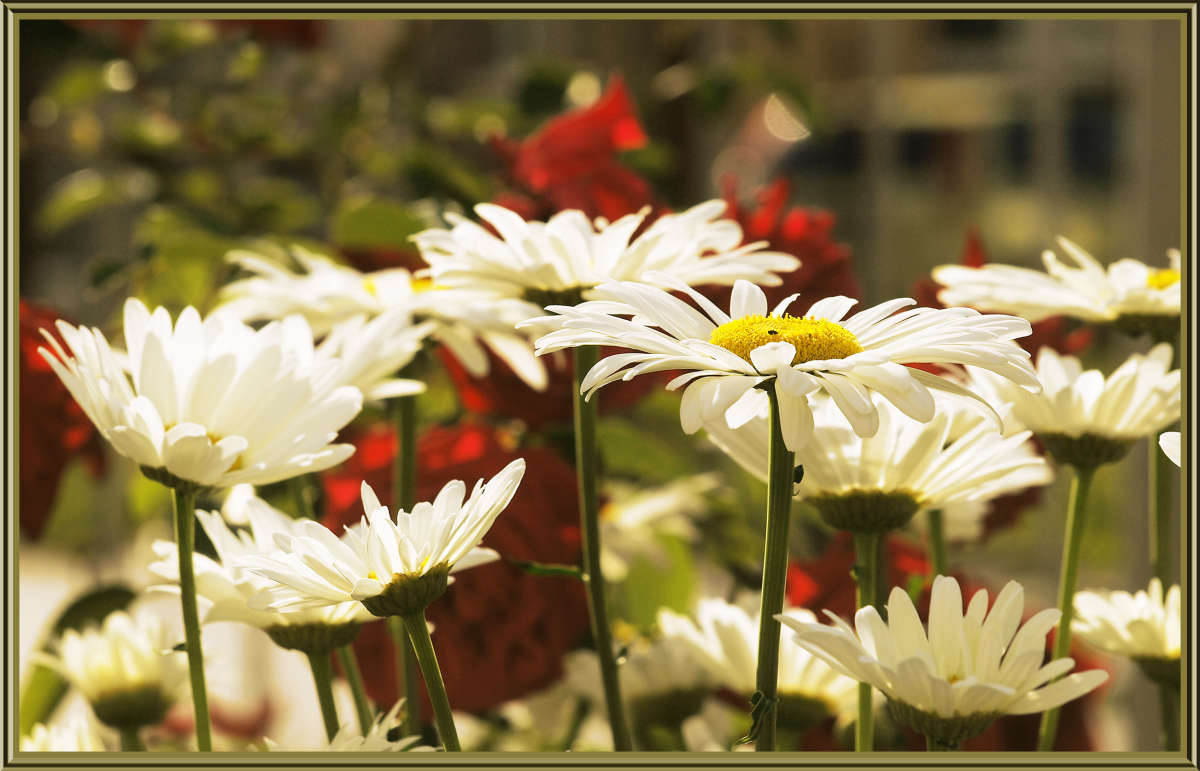 "��� ������� ����" ����� ������ ������ �� PhotoGeek.ru #������ ��� �������