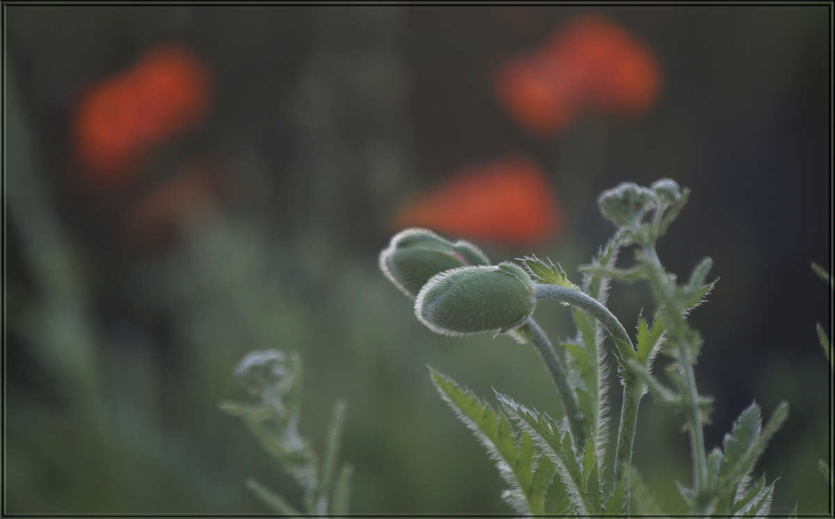 ������������ 2 ����� ������ ������ �� PhotoGeek.ru #������ ��� �������