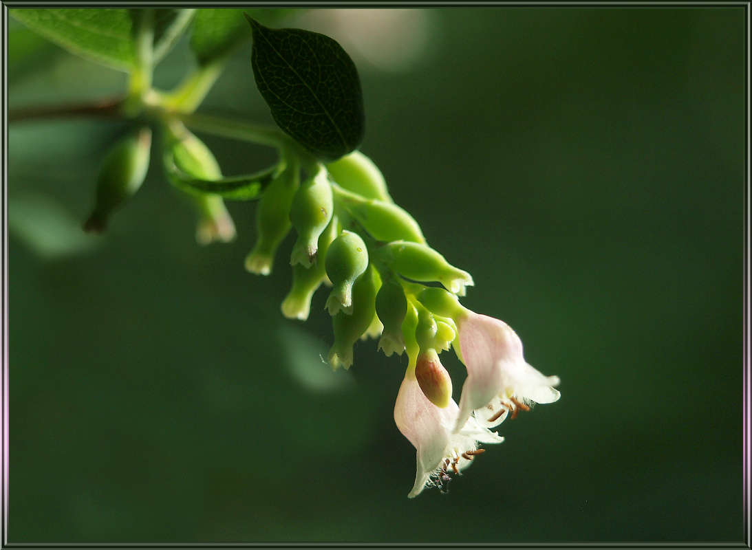 "�������� 2" ����� ������ ������ �� PhotoGeek.ru #������ ��� �������