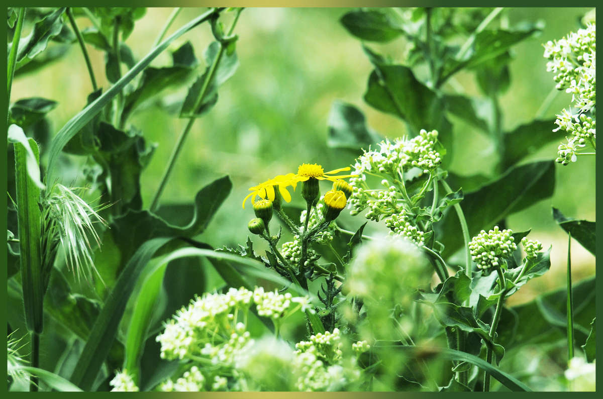 "��������" ����� ������ ������ �� PhotoGeek.ru #������ ��� �������