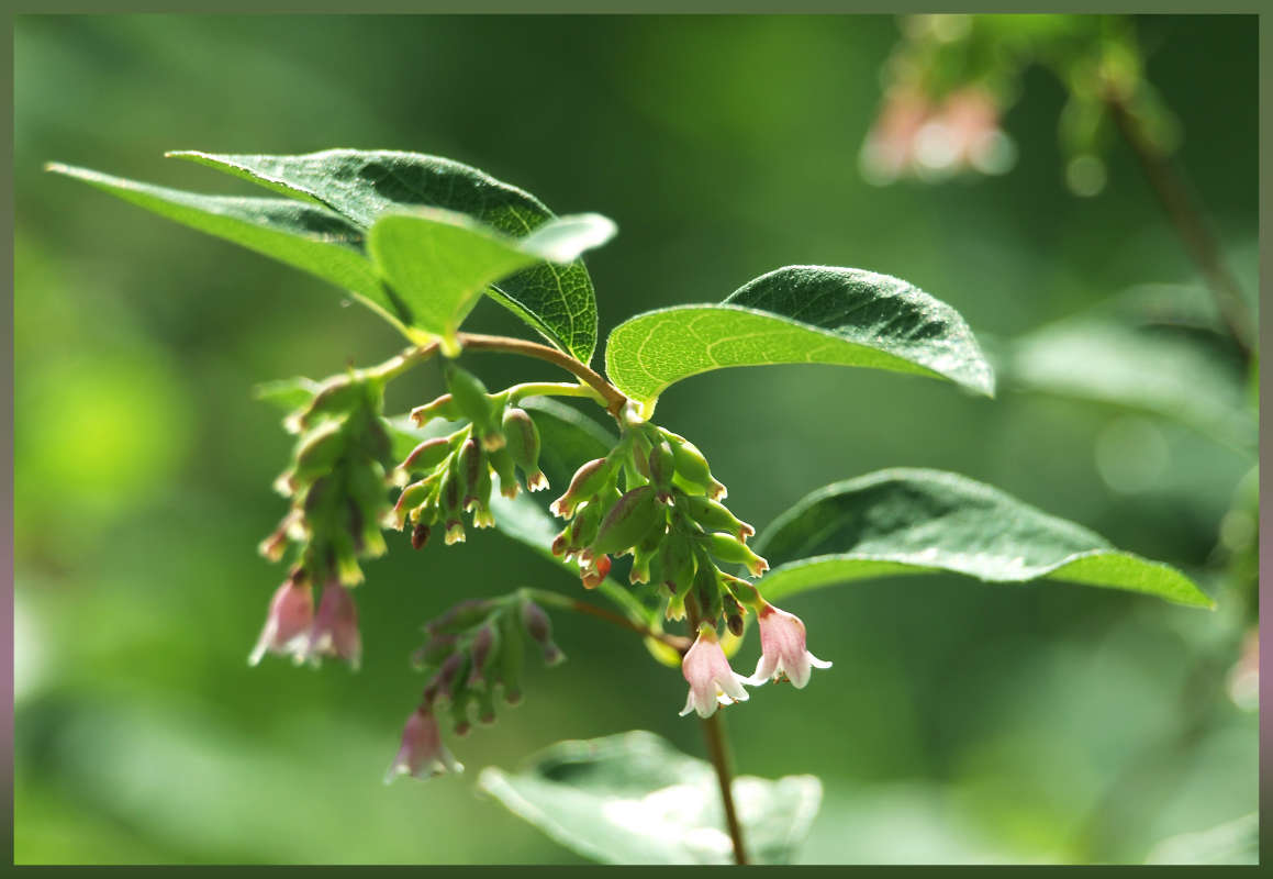 "�������� 3" ����� ������ ������ �� PhotoGeek.ru #������ ��� �������