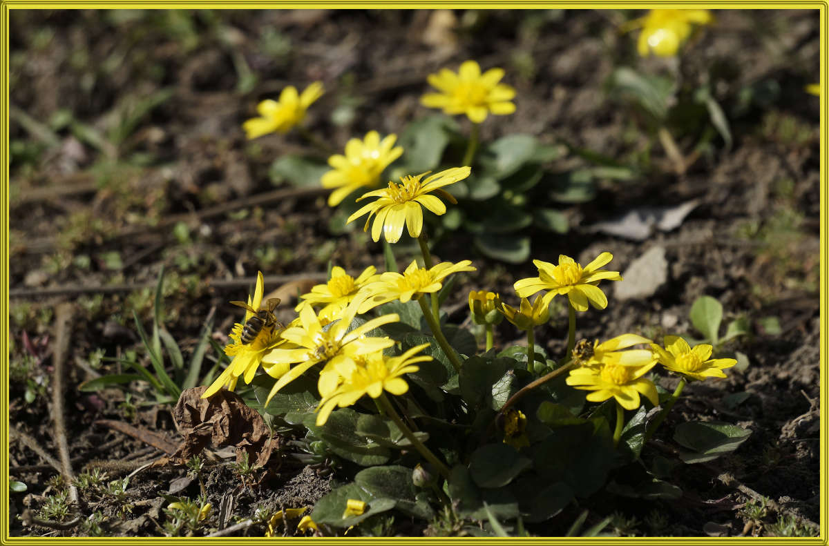 "�������� � �������" ����� ������ ������ �� PhotoGeek.ru #������ ��� �������