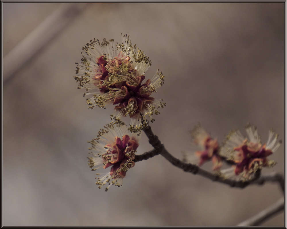 "�������� 2" ����� ������ ������ �� PhotoGeek.ru #������ ��� �������