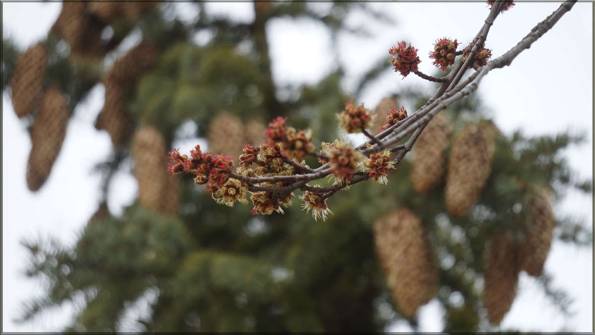 "��������" ����� ������ ������ �� PhotoGeek.ru #������ ��� �������