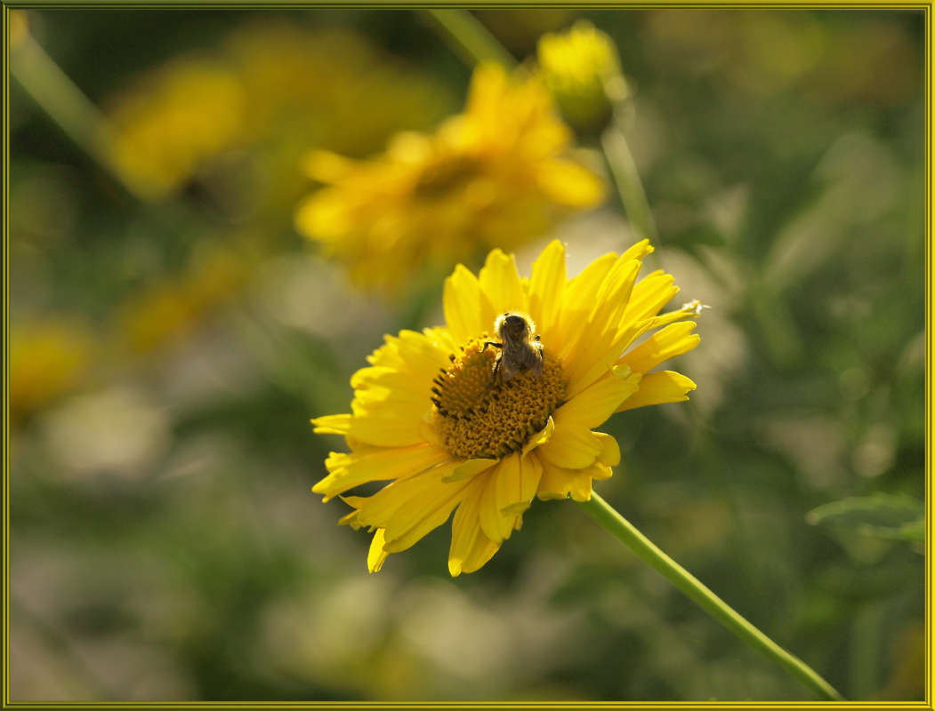 "��� ������ ����� � ����" ����� ������ ������ �� PhotoGeek.ru #������ ��� �������