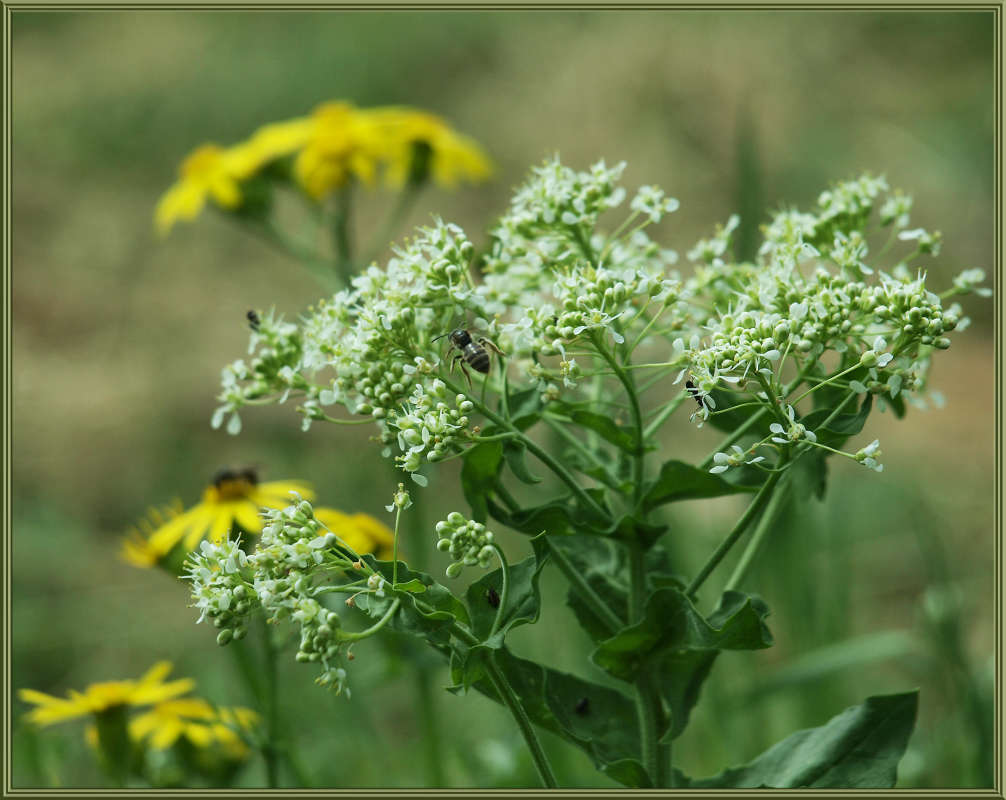 "�������� 11" ����� ������ ������ �� PhotoGeek.ru #������ ��� �������