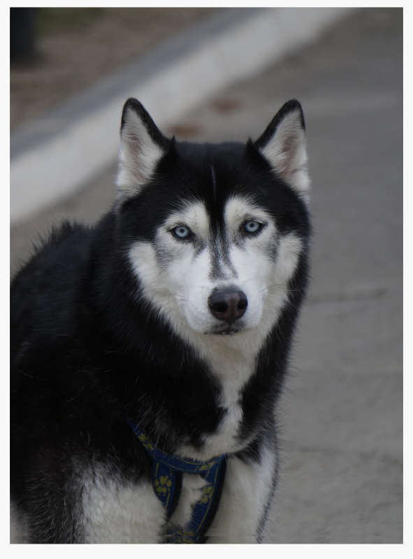 "������������ 2" ����� ������ ������ �� PhotoGeek.ru #�������� ���