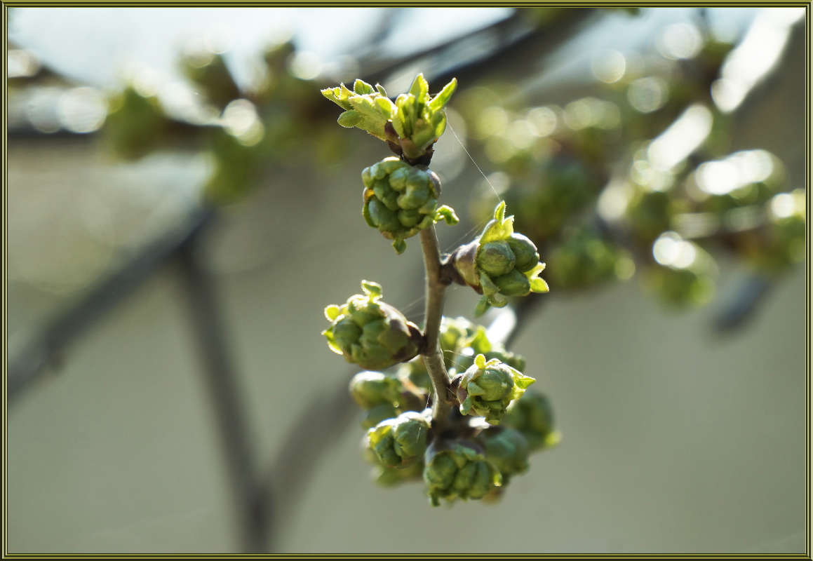 "�������� � �����" ����� ������ ������ �� PhotoGeek.ru #������ ��� �������