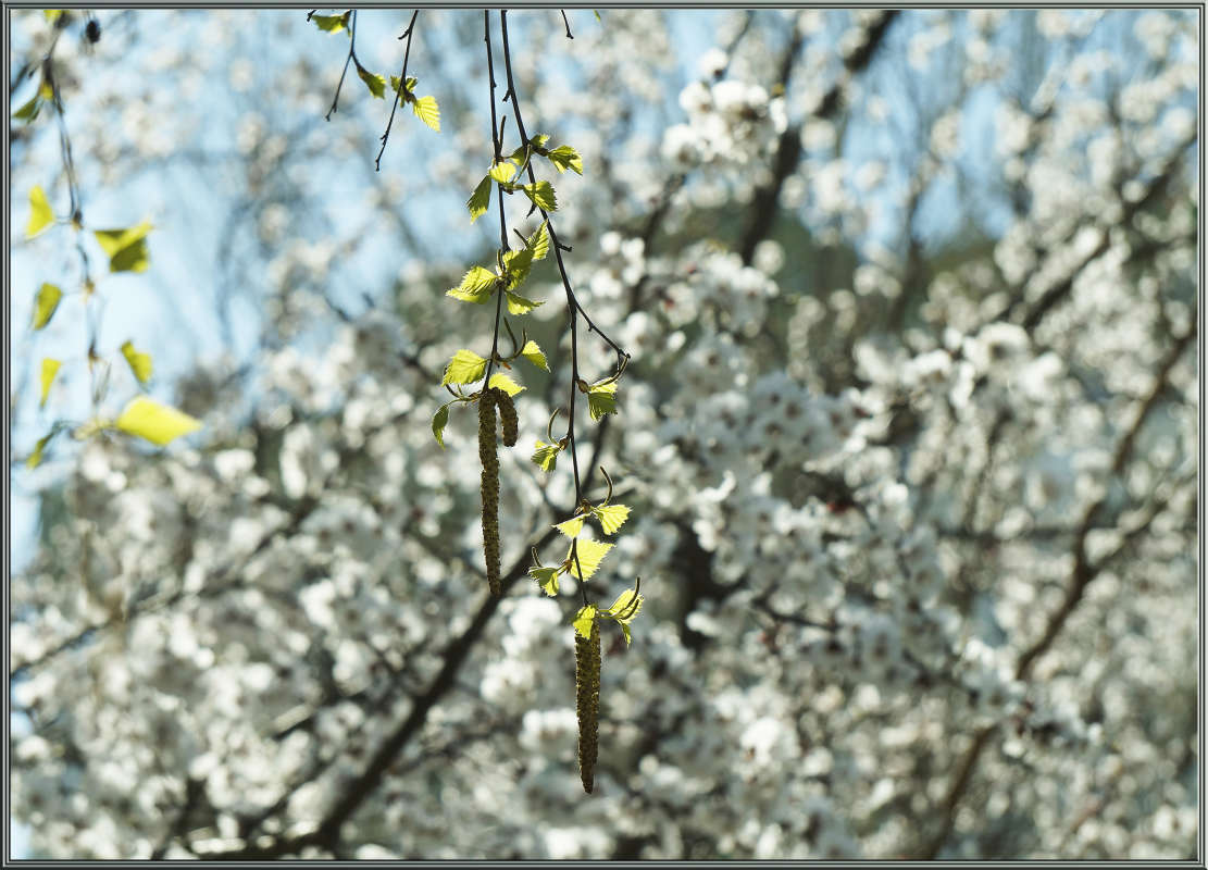 "�����������" ����� ������ ������ �� PhotoGeek.ru #������ ��� �������