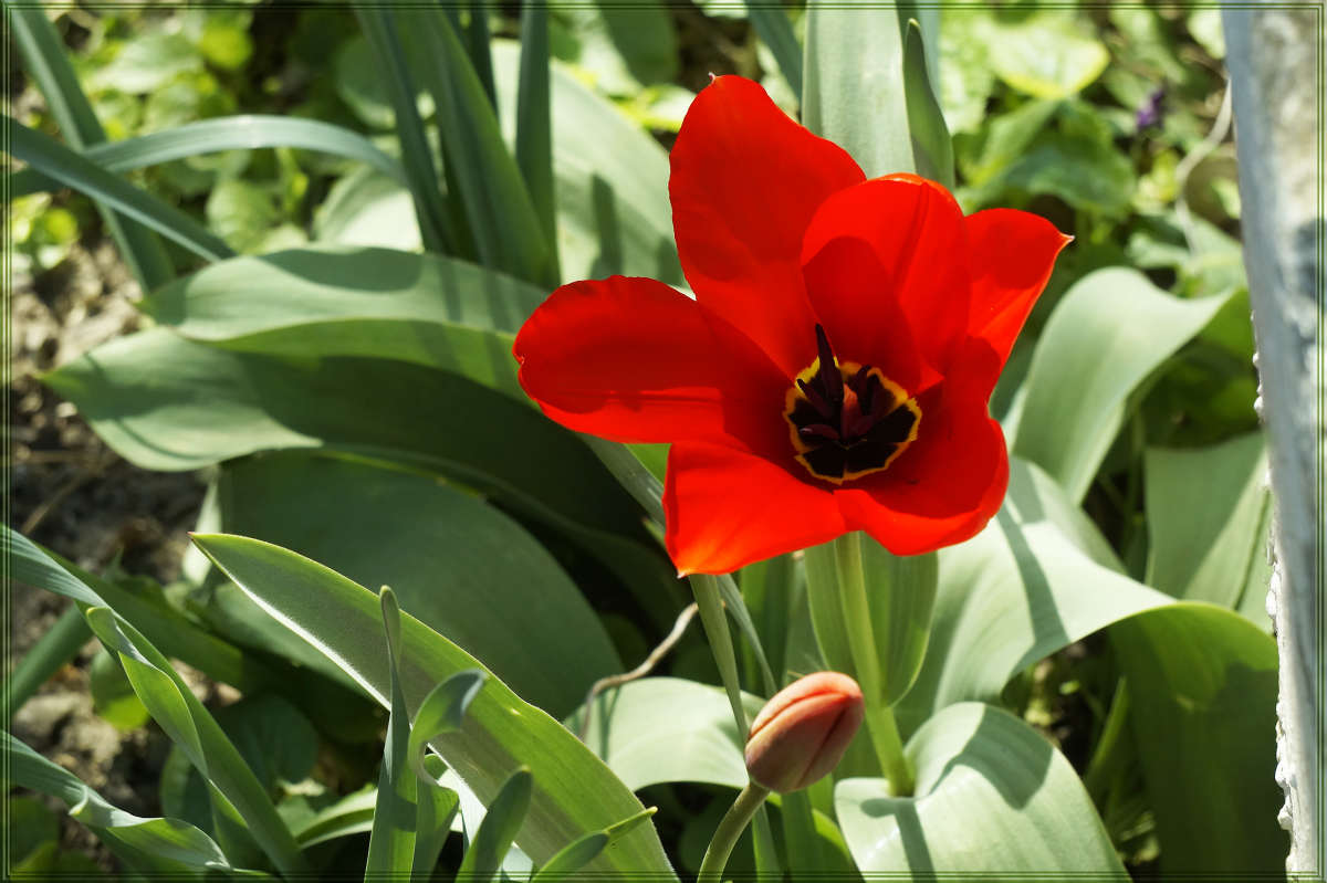 "����������" ����� ������ ������ �� PhotoGeek.ru #������ ��� �������