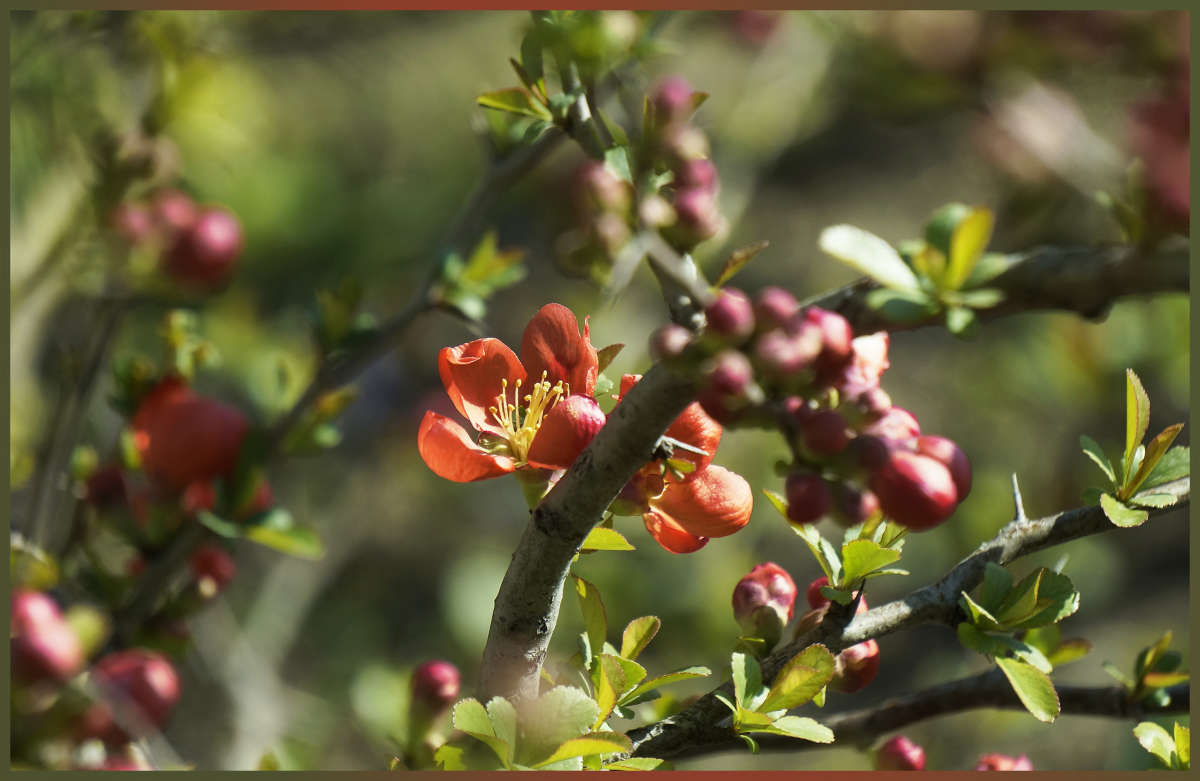 "��������� ������" ����� ������ ������ �� PhotoGeek.ru #������ ��� �������