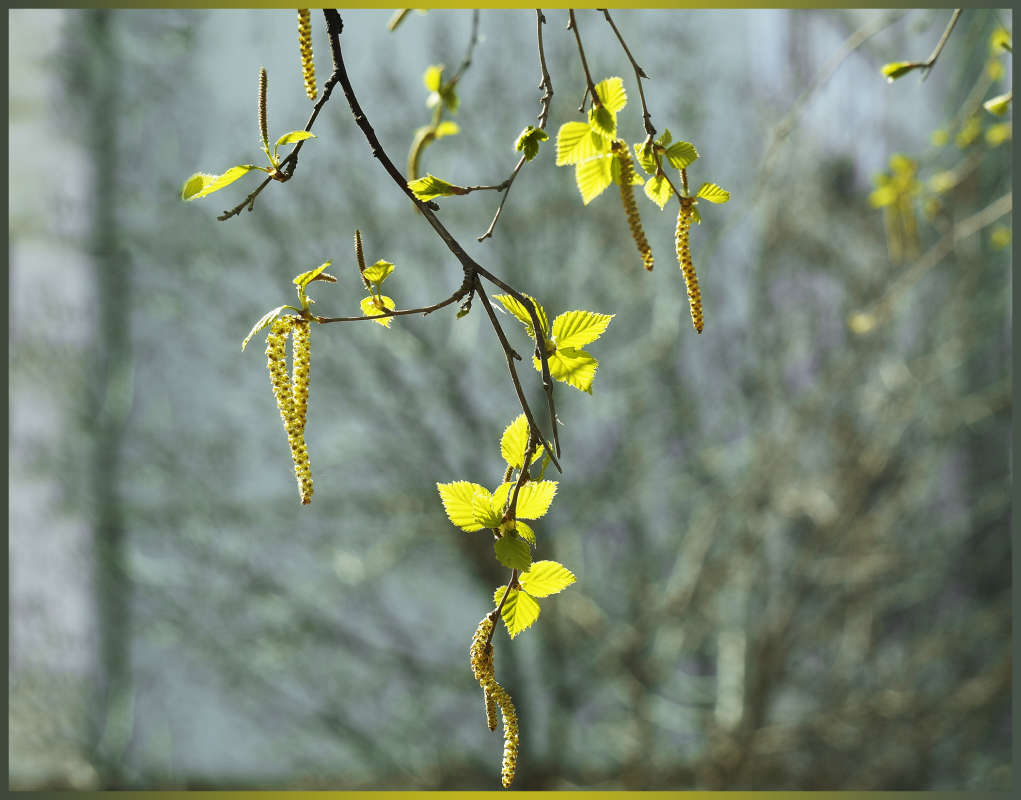 "����������� 2" ����� ������ ������ �� PhotoGeek.ru #������ ��� �������