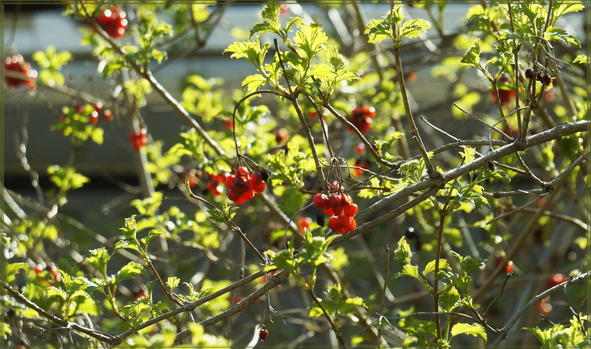 "������������ �� ���� ������������ 4" ����� ������ ������ �� PhotoGeek.ru #������ ��� �������