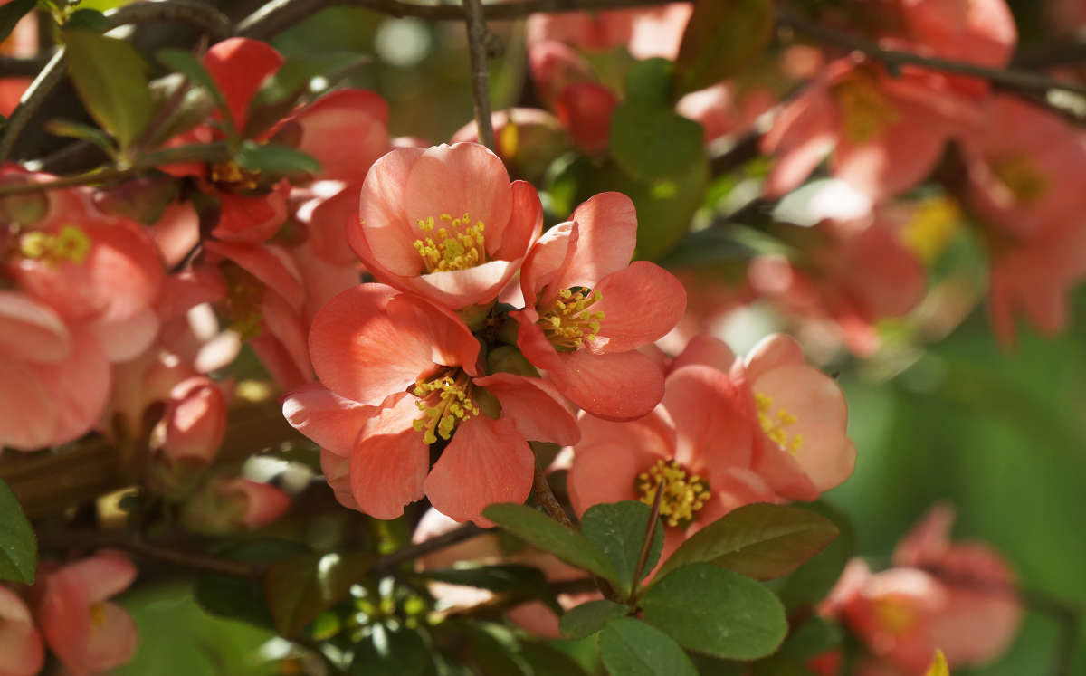 "������� ����" "����� � �������� 3" ����� ������ ������ �� PhotoGeek.ru #������ ��� �������