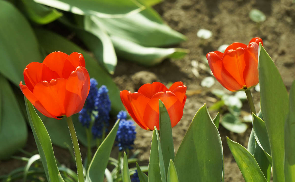 "������� ���� 2" ����� ������ ������ �� PhotoGeek.ru #������ ��� �������