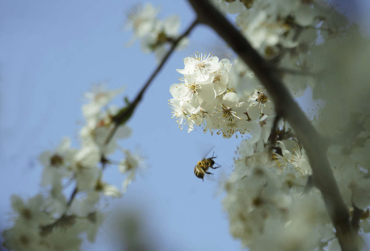 "����� � ��������" ����� ������ ������ �� PhotoGeek.ru #������ ��� �������