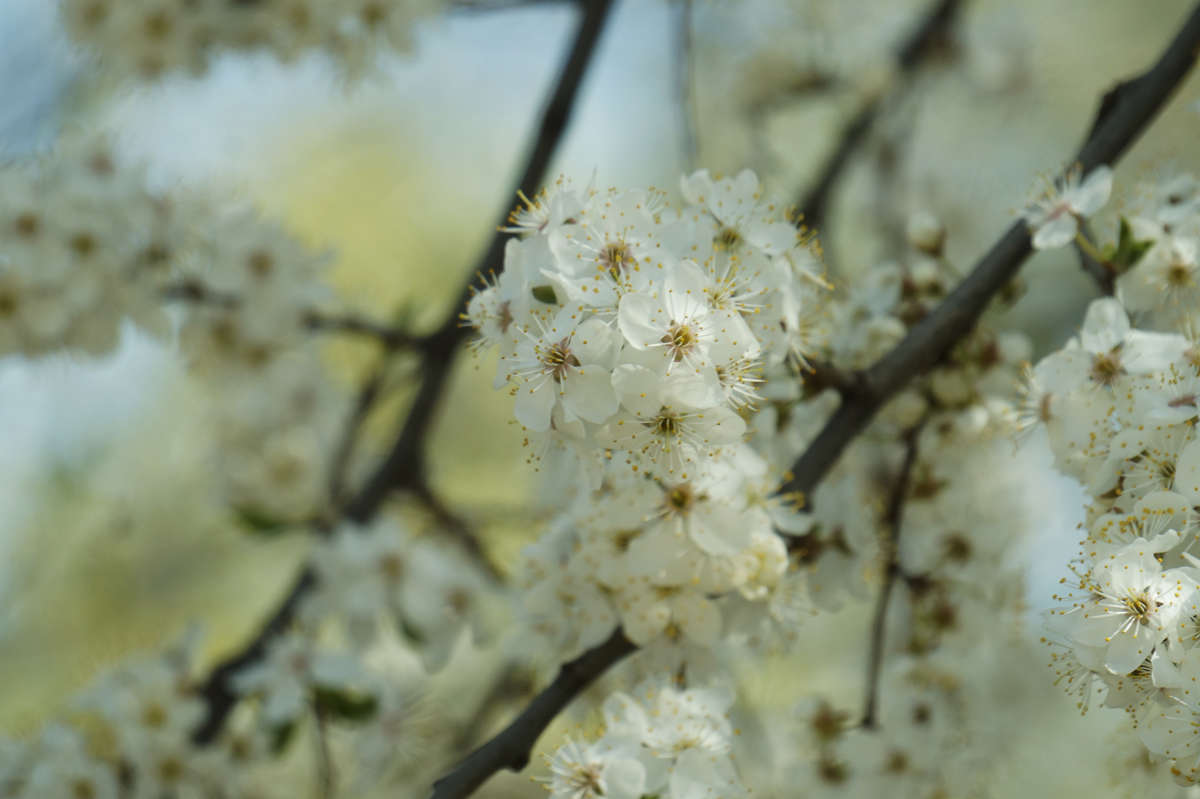 "����� � �������� 2" ����� ������ ������ �� PhotoGeek.ru #������ ��� �������