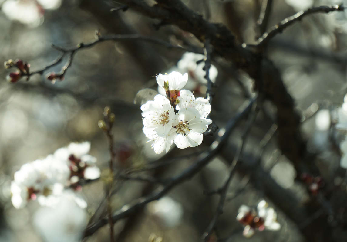 "�������� 41" ����� ������ ������ �� PhotoGeek.ru #������ ��� �������