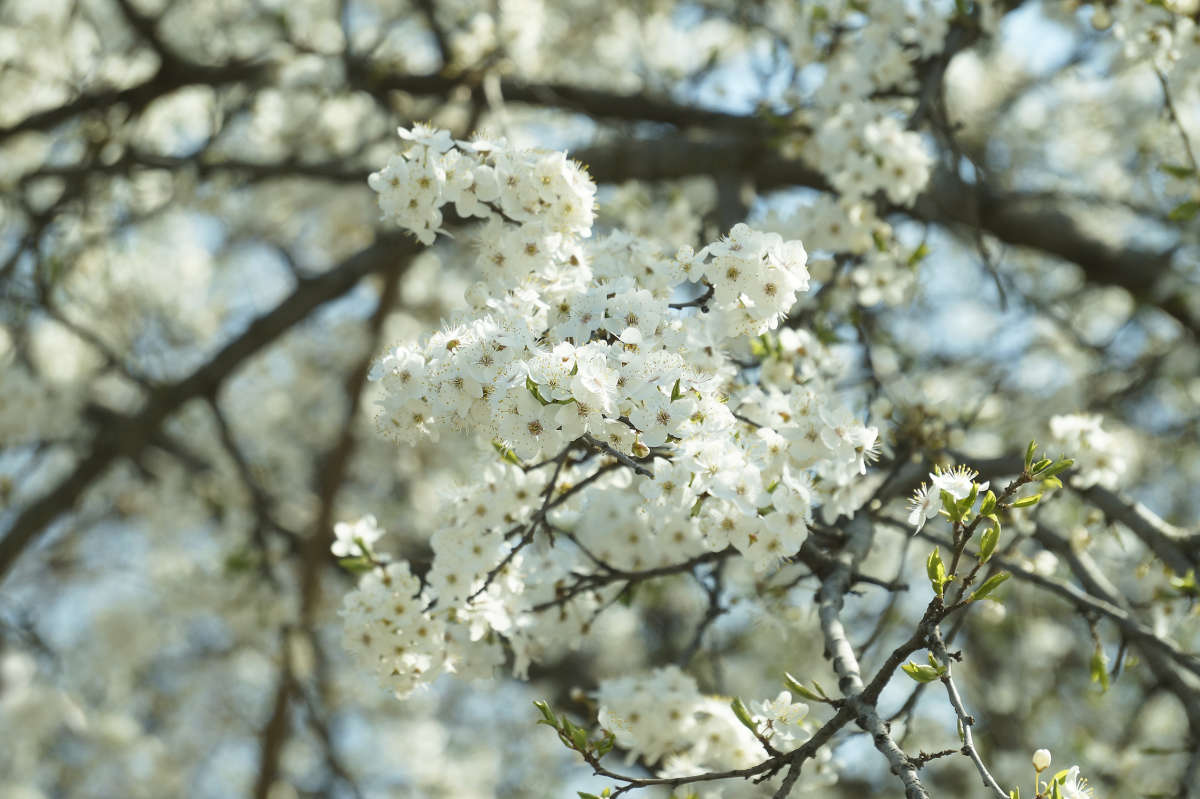 "�������� 39" ����� ������ ������ �� PhotoGeek.ru #������ ��� �������