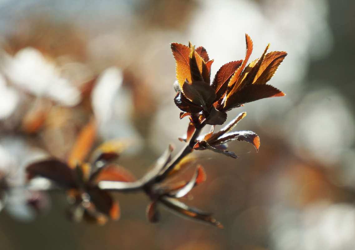 "����� � �������� 2" ����� ������ ������ �� PhotoGeek.ru #������ ��� �������