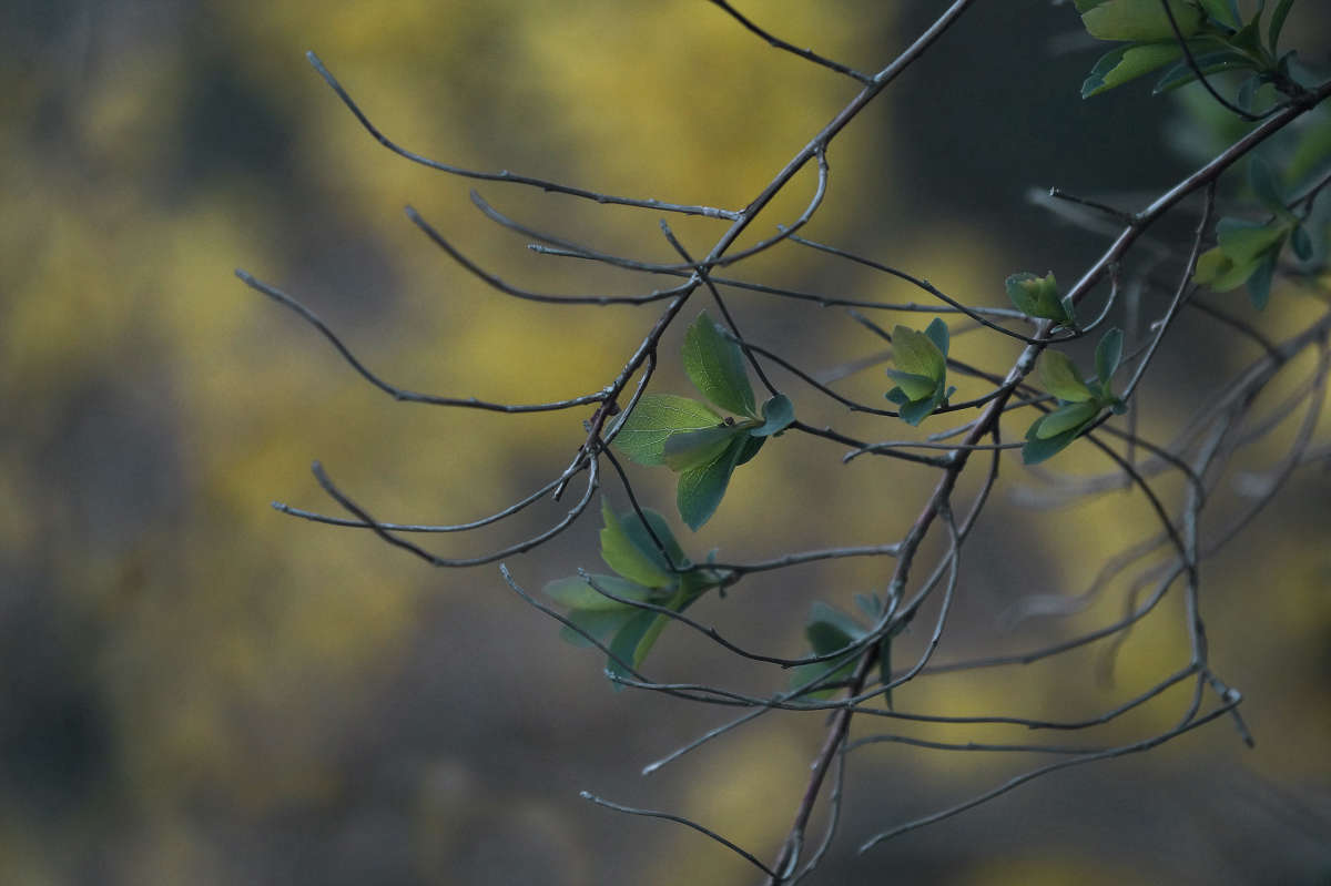 "�������� 43" ����� ������ ������ �� PhotoGeek.ru #������ ��� �������