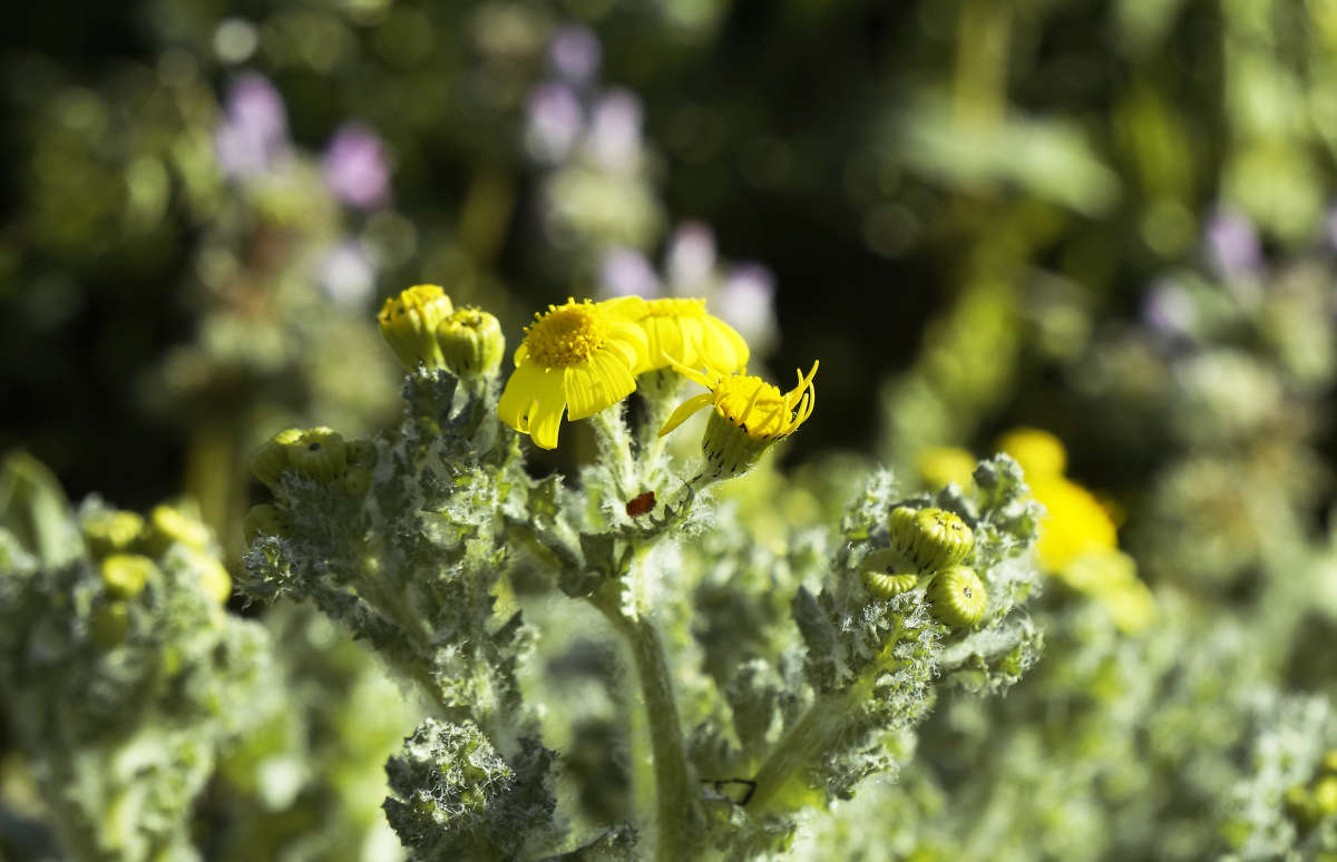 "� ������ ����" ����� ������ ������ �� PhotoGeek.ru #������ ��� �������