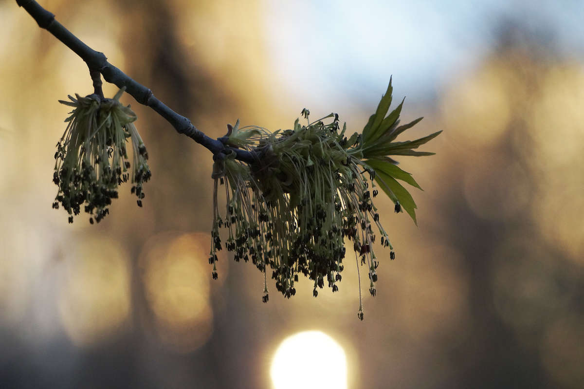 "�������� 44" ����� ������ ������ �� PhotoGeek.ru #������ ��� �������