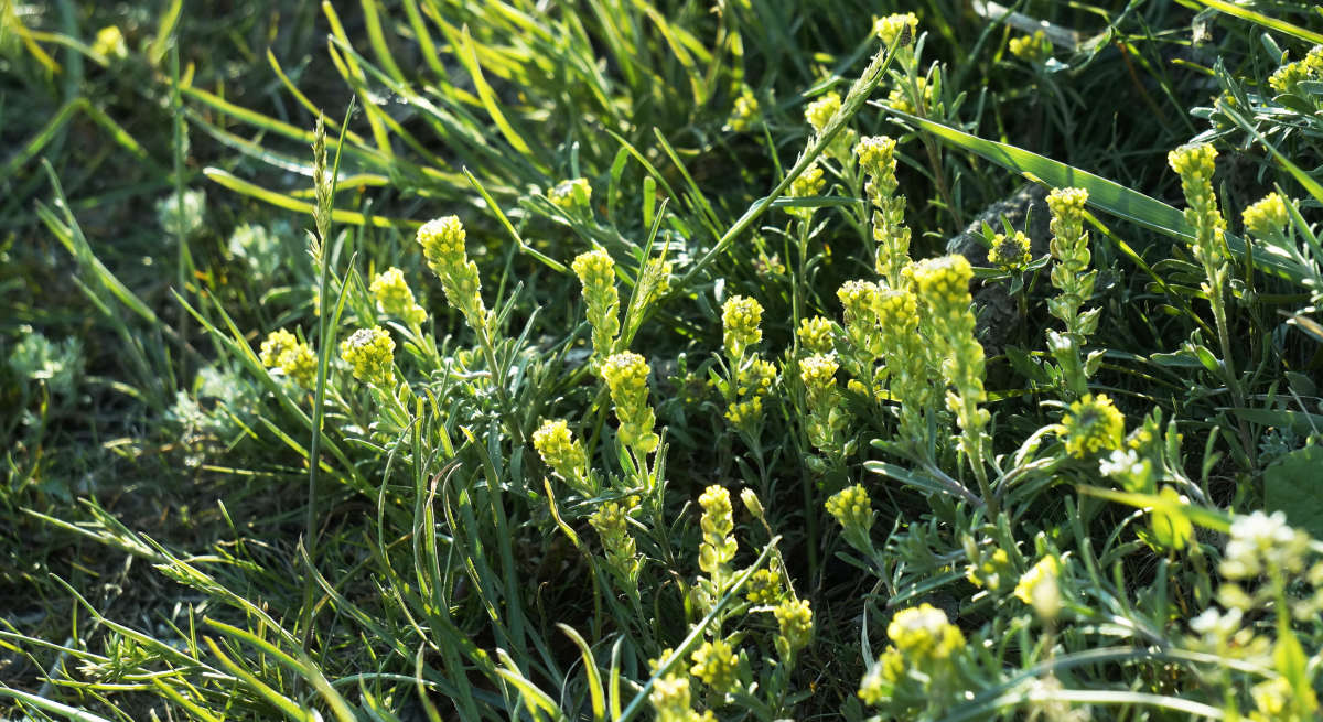 "�������� 45" ����� ������ ������ �� PhotoGeek.ru #������ ��� �������