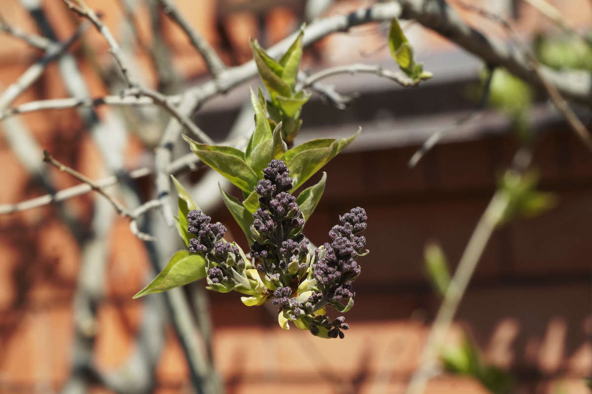 "�������� 48" ����� ������ ������ �� PhotoGeek.ru #������ ��� �������