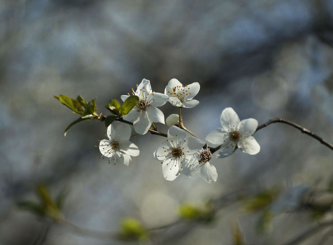 "�������� 46" ����� ������ ������ �� PhotoGeek.ru #������ ��� �������