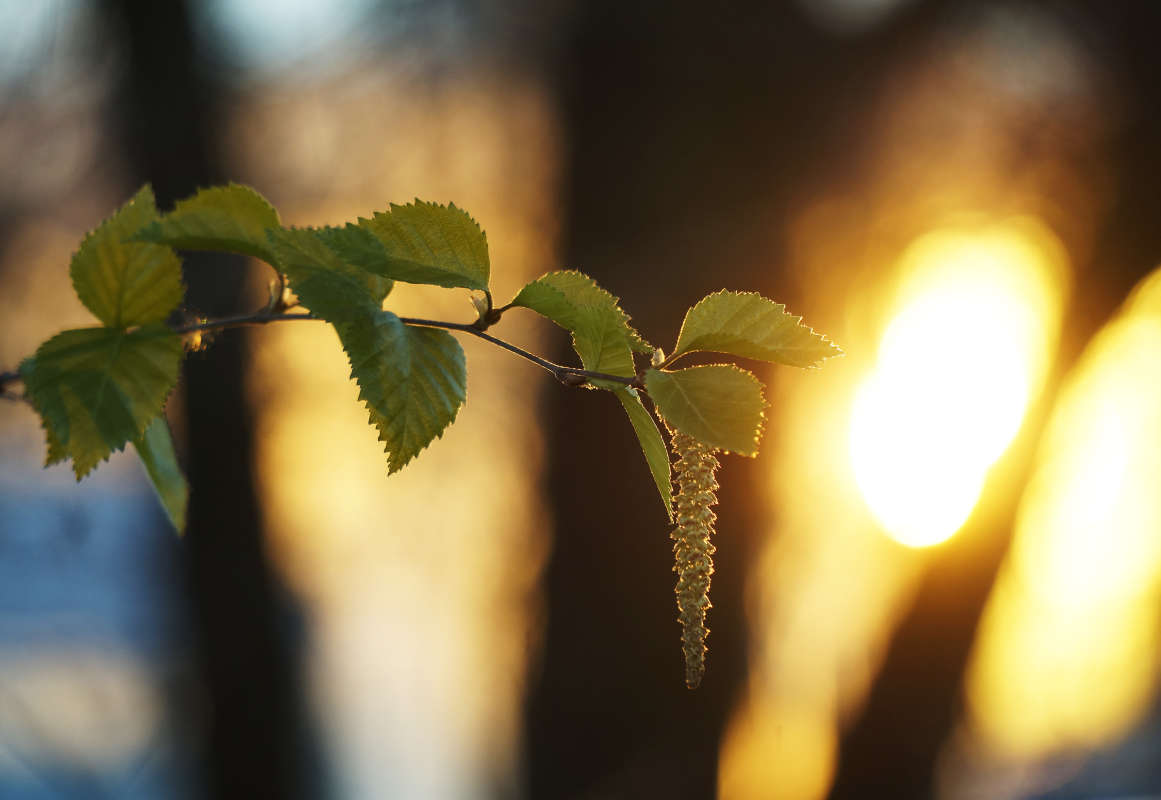 "� ���������� �����" ����� ������ ������ �� PhotoGeek.ru #������ ��� �������