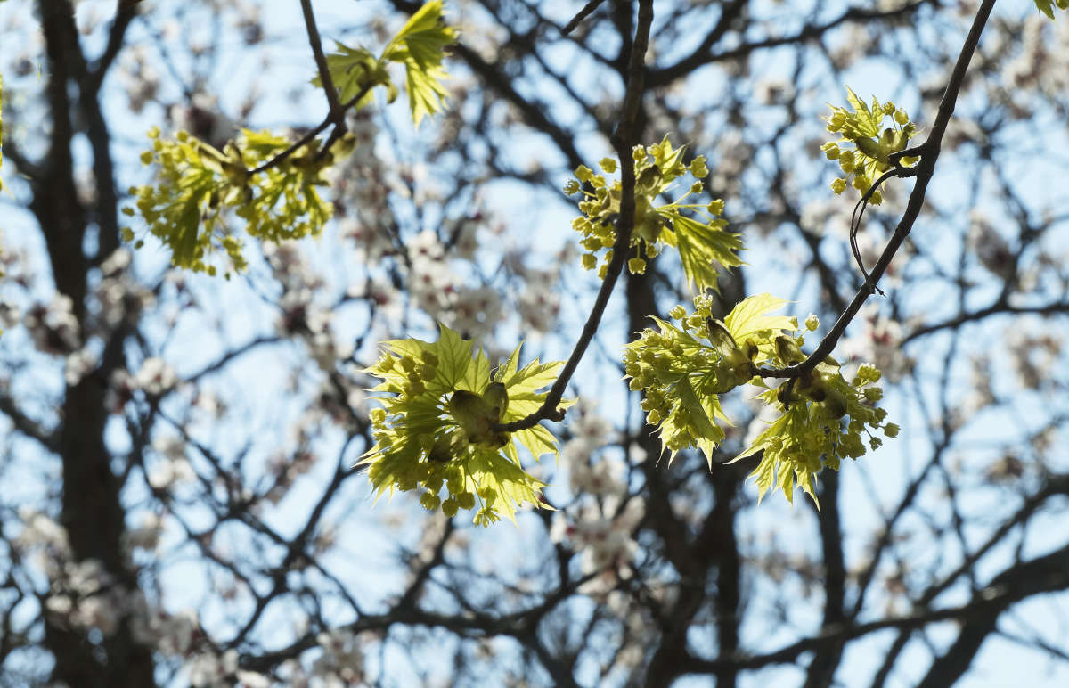 "���� ������� � ���� �������" ����� ������ ������ �� PhotoGeek.ru #������ ��� �������