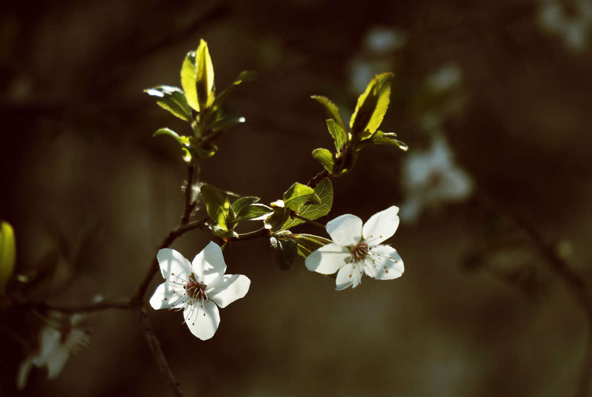 "�������� 47" ����� ������ ������ �� PhotoGeek.ru #������ ��� �������