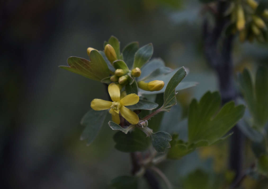 "�������� � ���������" ����� ������ ������ �� PhotoGeek.ru #������ ��� �������