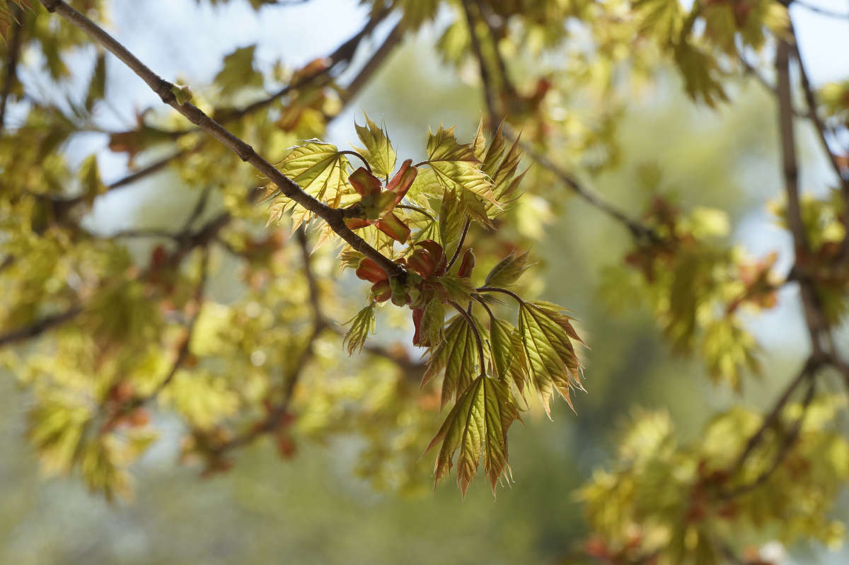 "������ ������" ����� ������ ������ �� PhotoGeek.ru #������ ��� �������