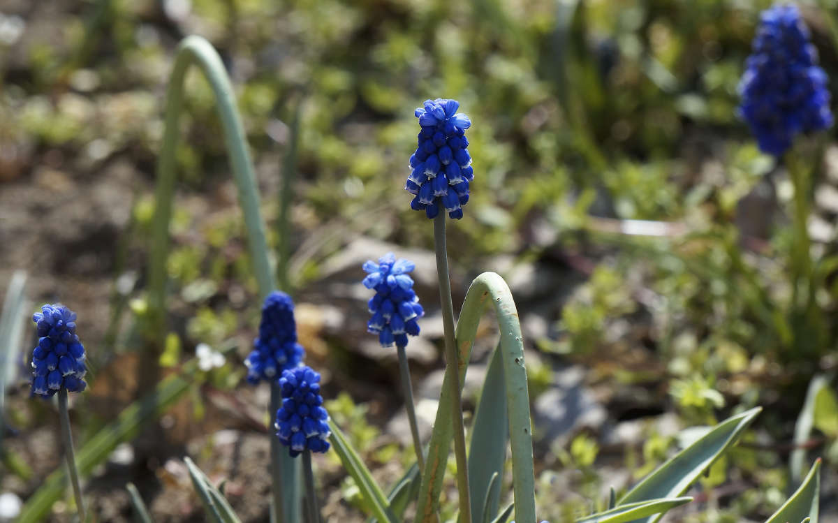 "����� ����� �������������" ����� ������ ������ �� PhotoGeek.ru #������ ��� �������