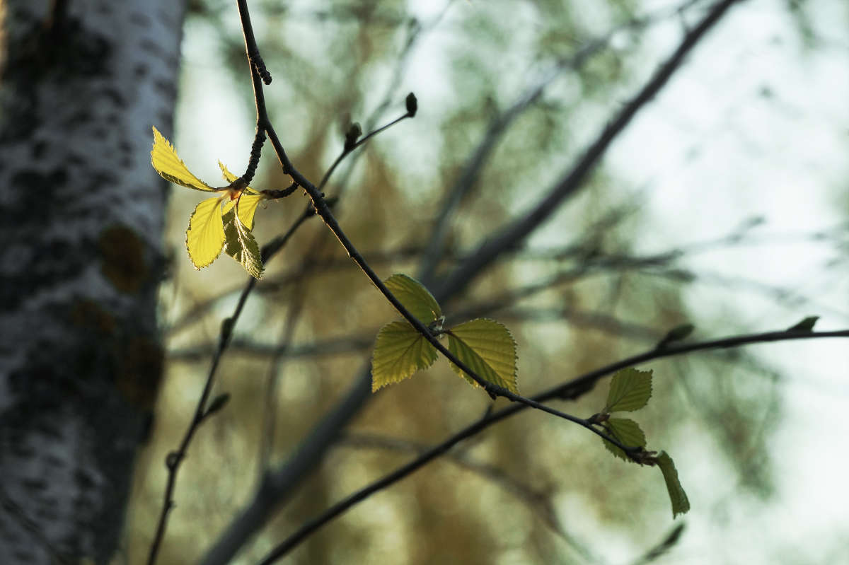 "�� ������ ���" ����� ������ ������ �� PhotoGeek.ru #������ ��� �������