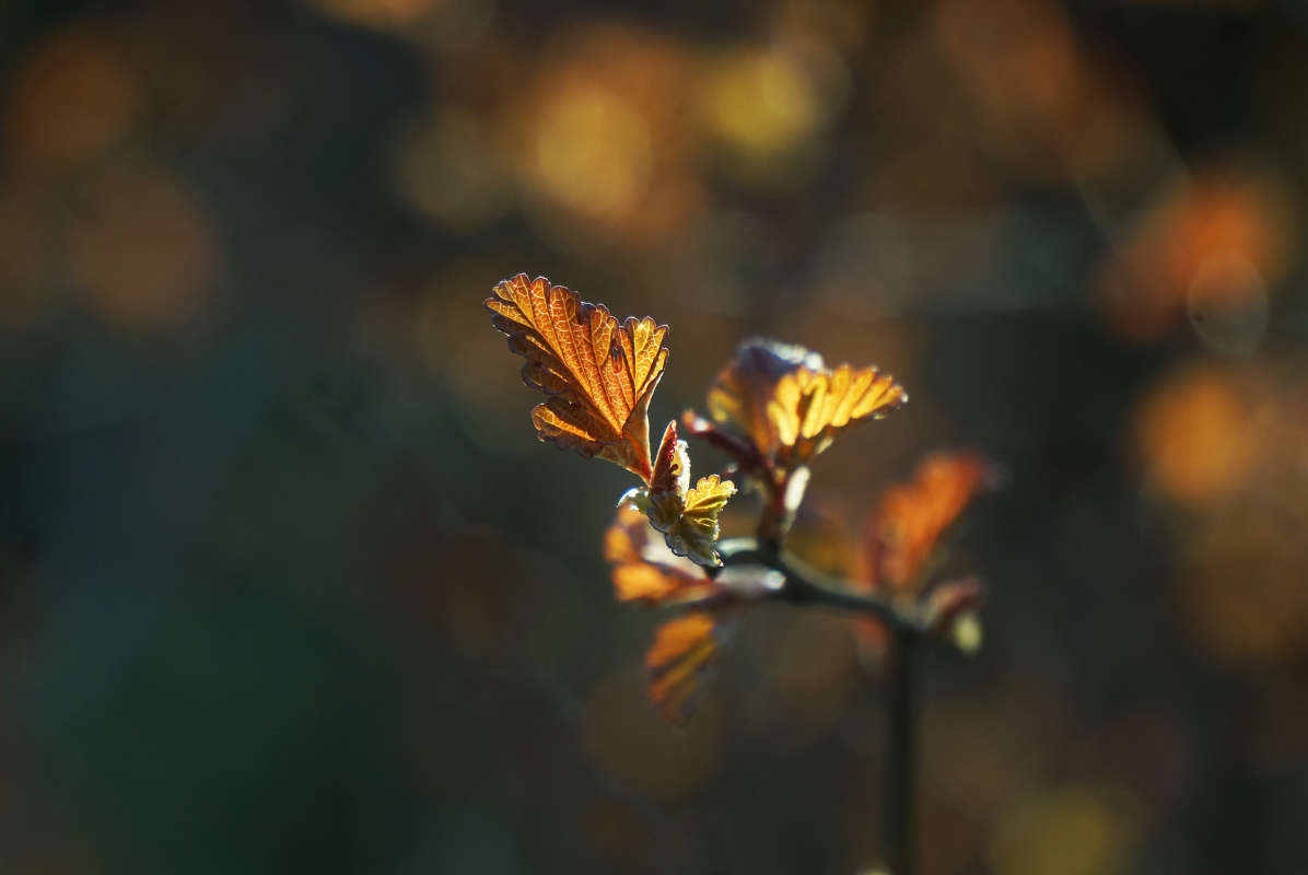 "�������� 3" ����� ������ ������ �� PhotoGeek.ru #������ ��� �������