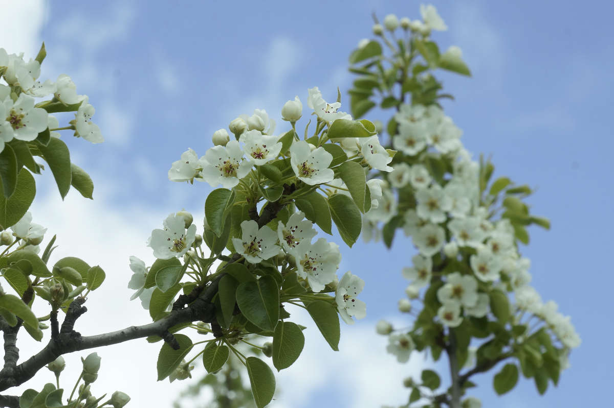 "�����" ����� ������ ������ �� PhotoGeek.ru #������ ��� �������