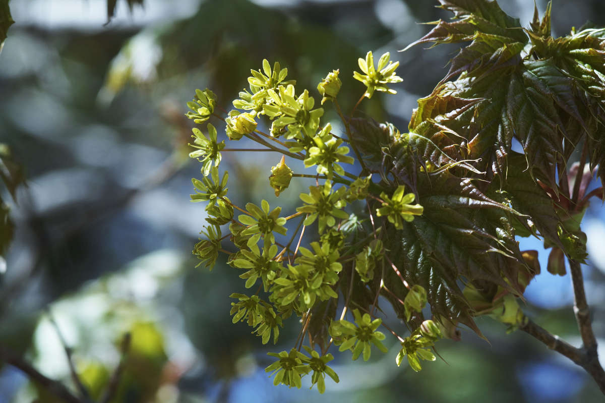 "������������ �������� �����" ����� ������ ������ �� PhotoGeek.ru #������ ��� �������