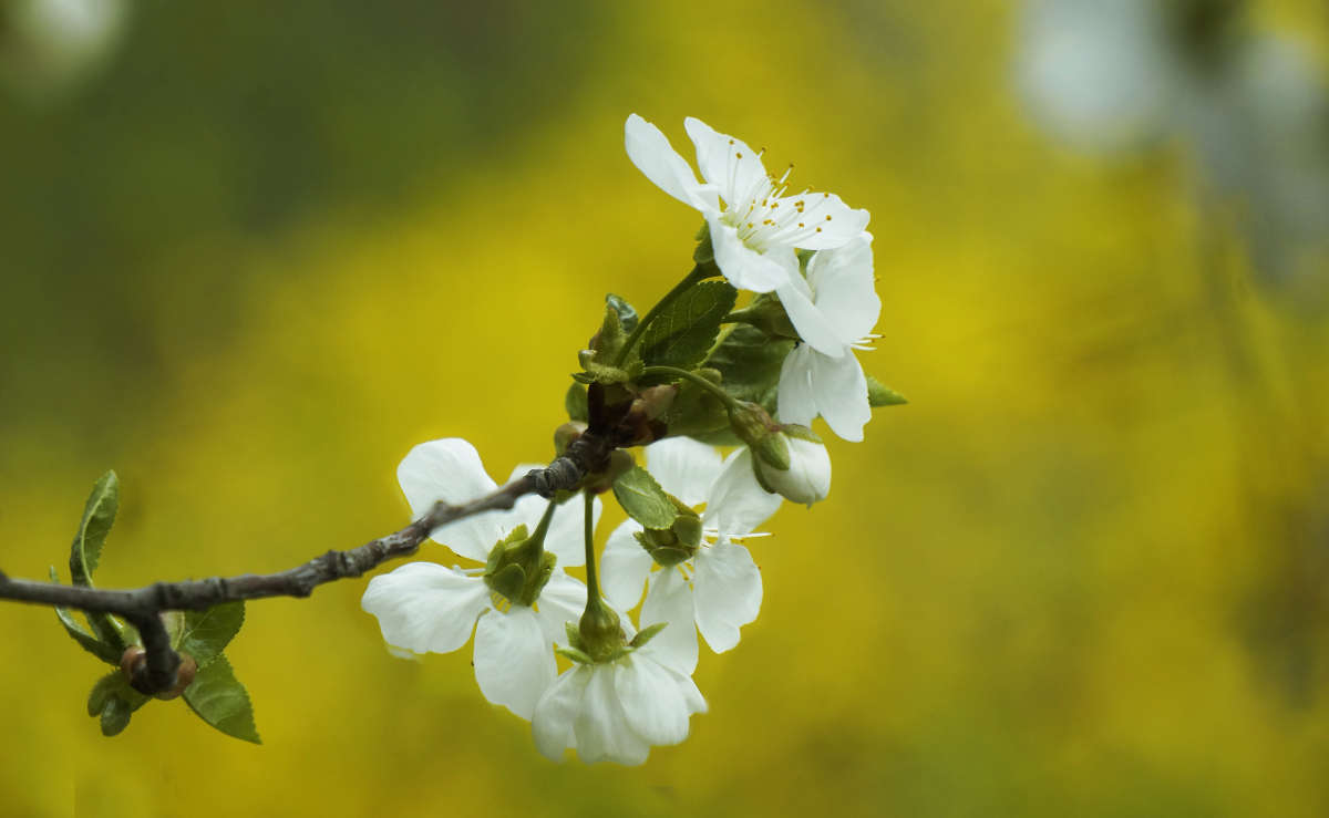 "�������� 49" ����� ������ ������ �� PhotoGeek.ru #������ ��� �������