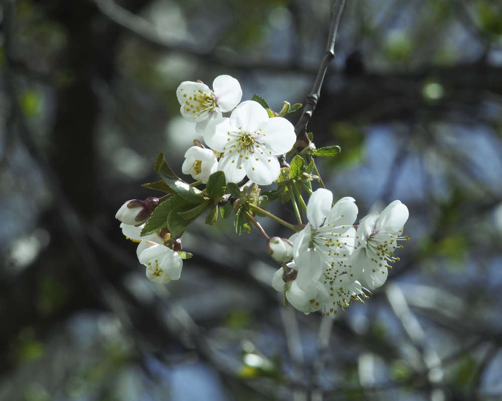 "��������" ����� ������ ������ �� PhotoGeek.ru #������ ��� �������