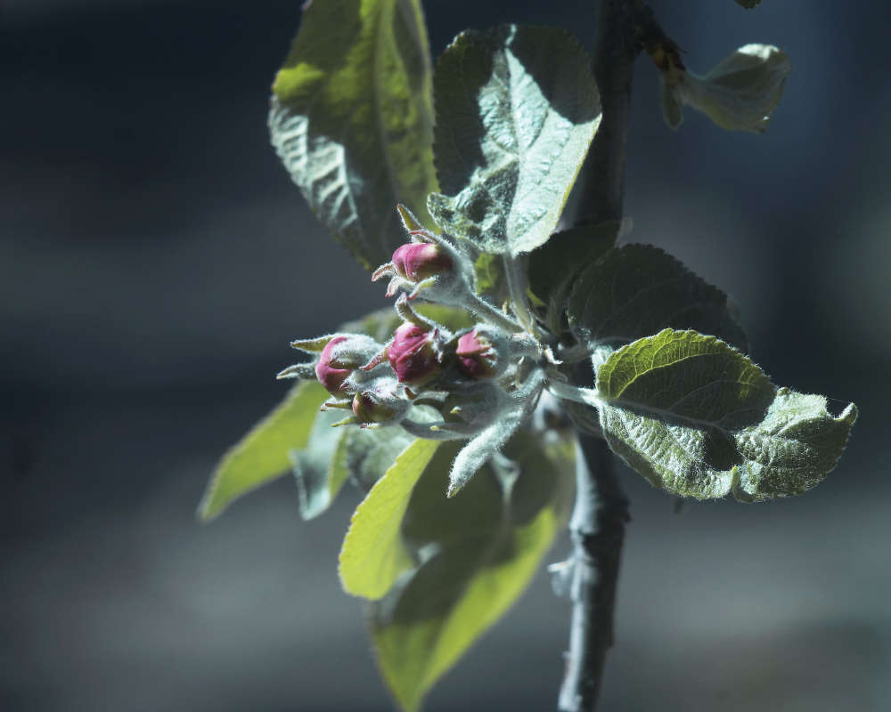 "����� ������ ���������" ����� ������ ������ �� PhotoGeek.ru #������ ��� �������